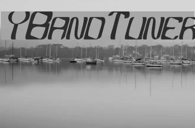 YBandTuner Polices examples
