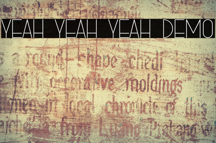 YEAH YEAH YEAH DEMO Example 3