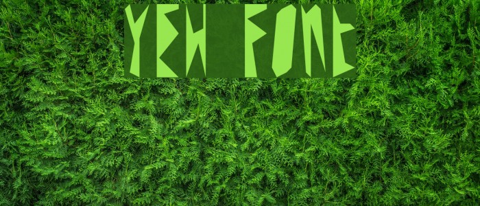 YEH Font examples