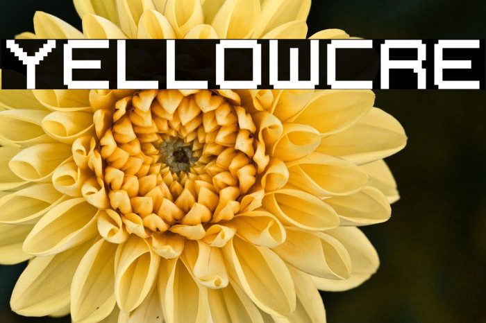 YELLOWCRE Example 2