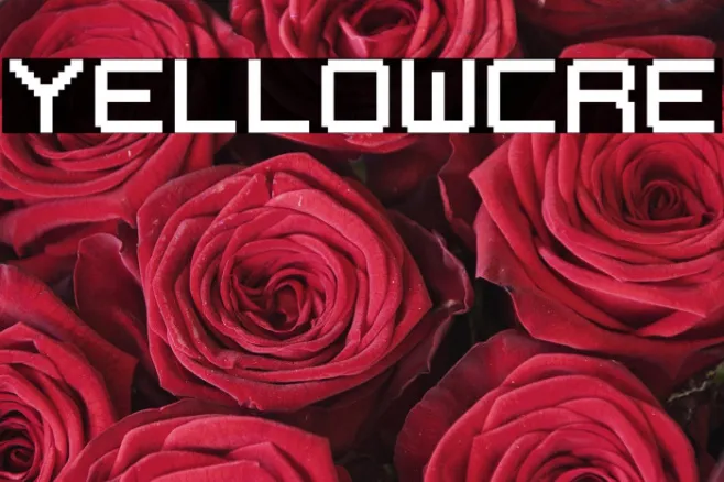 YELLOWCRE Example 3