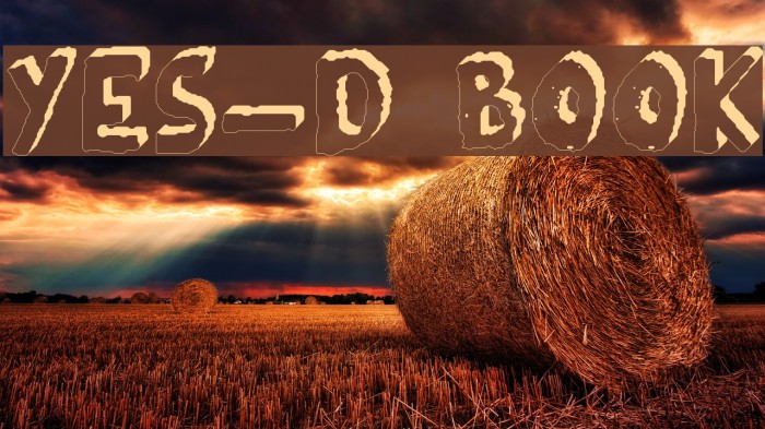YES_3D Book Font examples