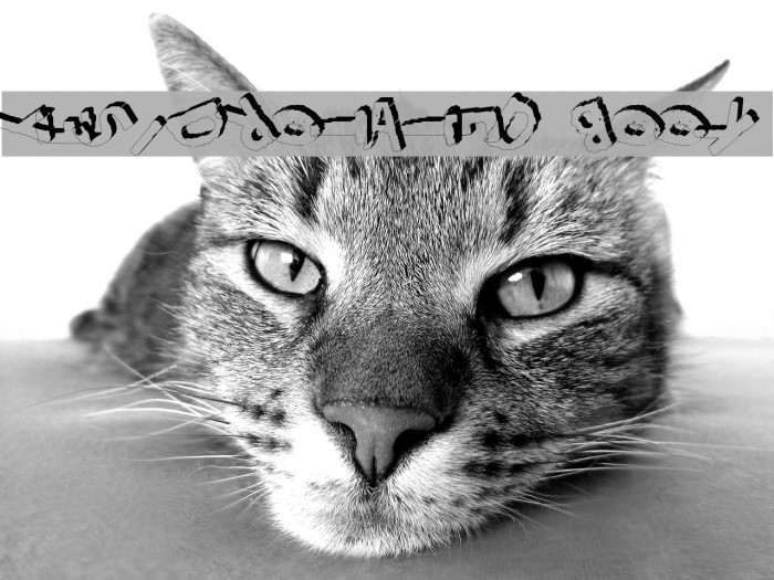 YES_3Drotated Book Example 1