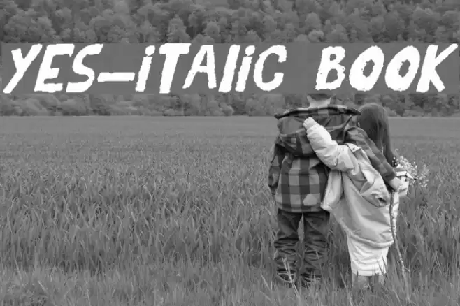 YES_italic Book Font examples