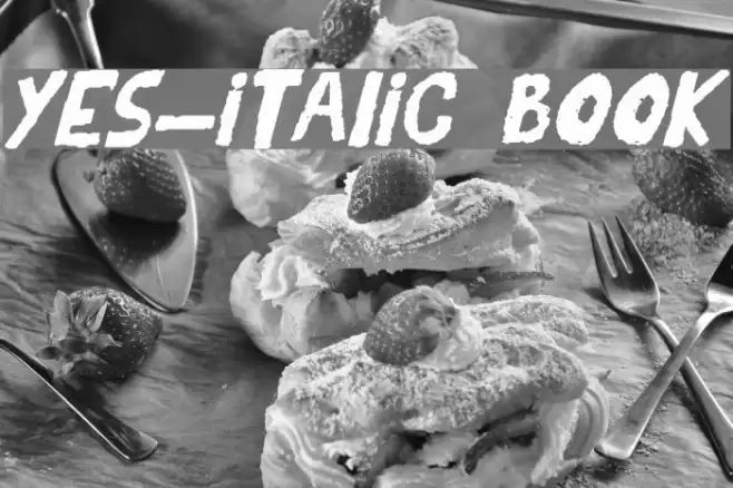 YES_italic Book Font examples