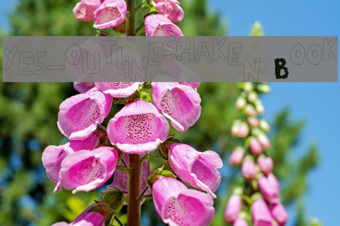 YES_outlineshaken Book Font examples
