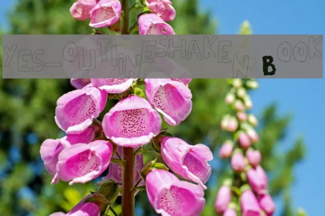 YES_outlineshaken Book Example 3