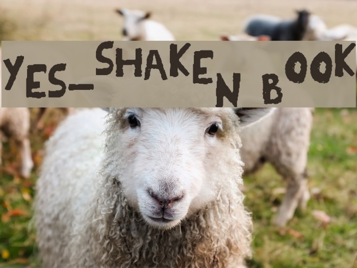 YES_shaken Book Font examples