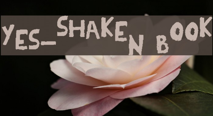 YES_shaken Book Font examples