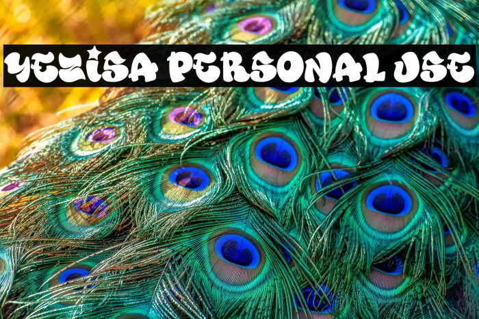 YEZiSA PERSONAL USE Example 1