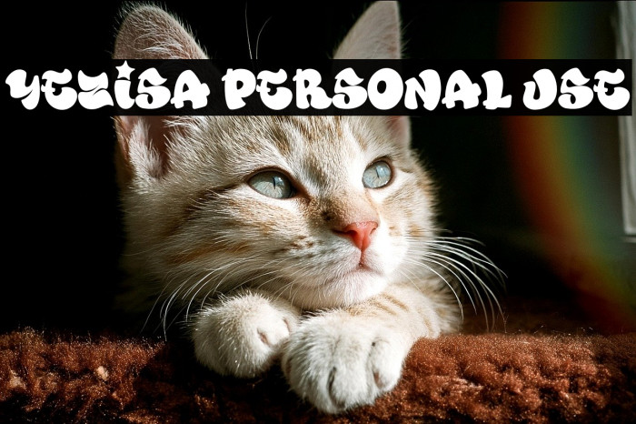 YEZiSA PERSONAL USE Example 2