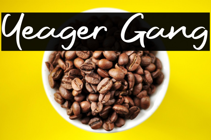 Yeager Gang Example 1