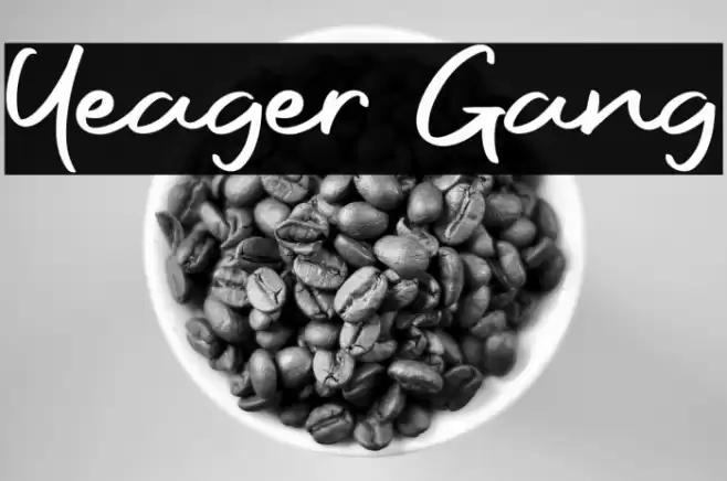 Yeager Gang Font examples