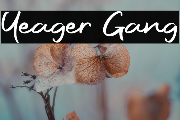 Yeager Gang Example 2