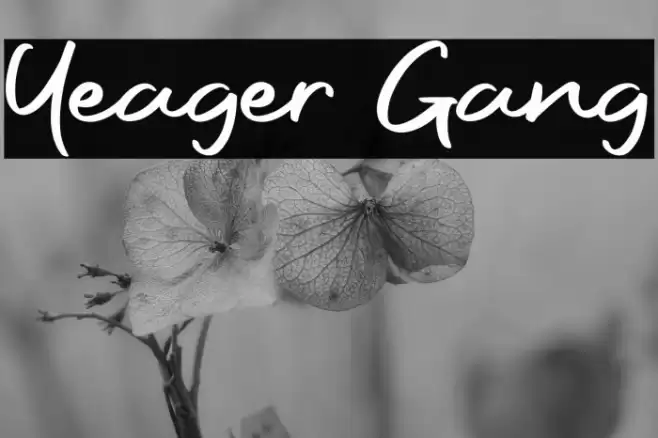 Yeager Gang Font examples
