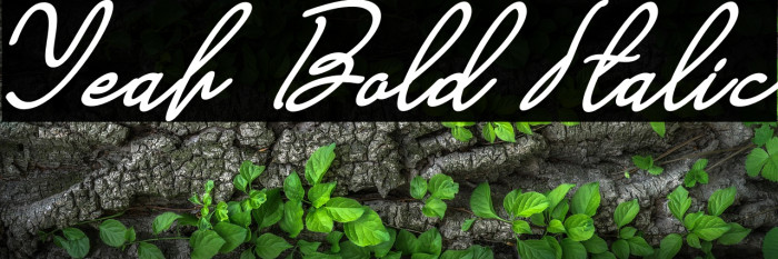 Yeah Bold Italic Example 3