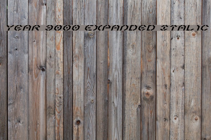 Year 3000 Expanded Italic Font examples