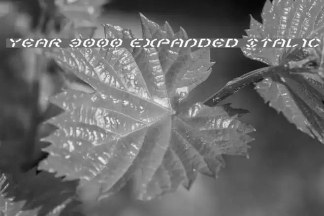 Year 3000 Expanded Italic Caratteri examples