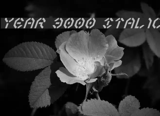 Year 3000 Italic Caratteri examples