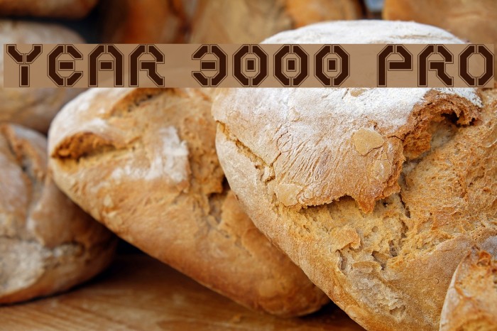 Year 3000 Pro Schriftart examples