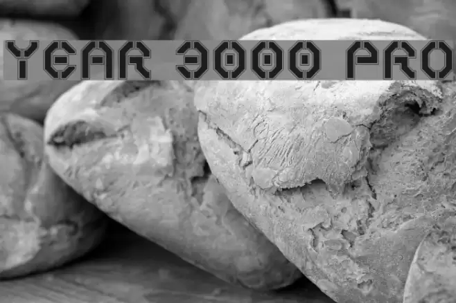 Year 3000 Pro Font examples