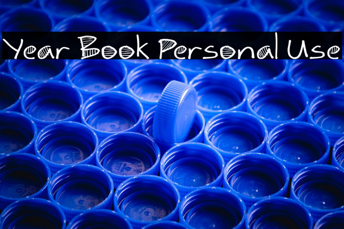 Year Book Personal Use Example 3