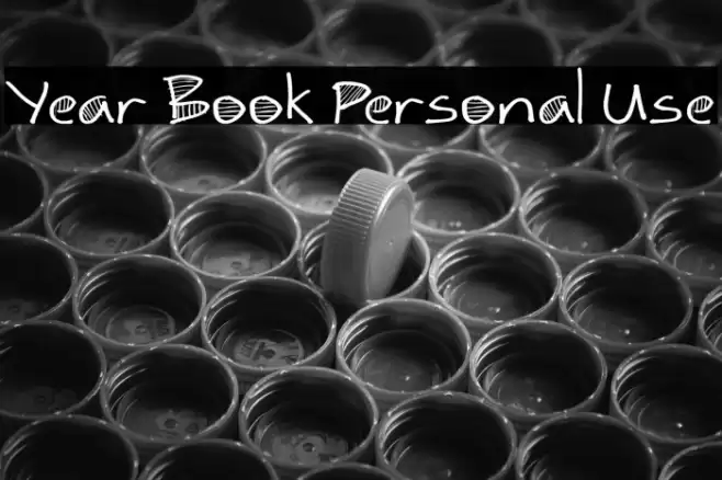 Year Book Personal Use Schriftart examples