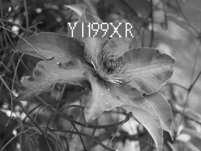 Year Is 199X Regular Font examples