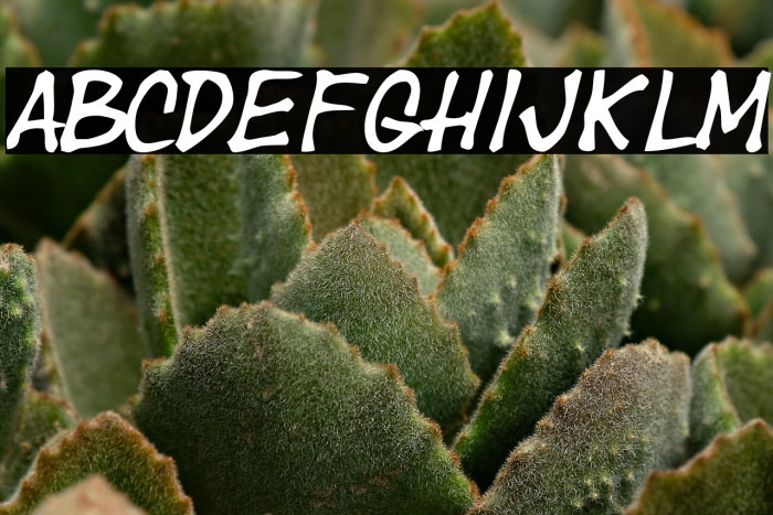 Year supply of fairy cakes Example 2