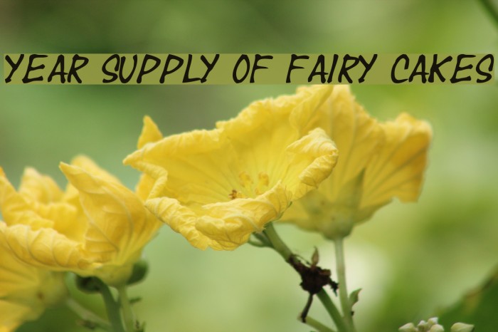 Year supply of fairy cakes Font examples