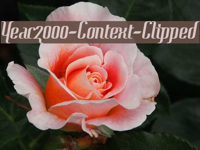 Year2000-Context-Clipped Font examples