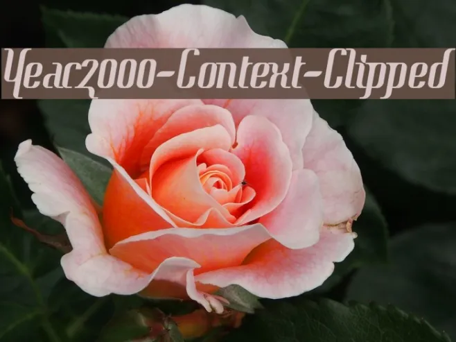 Year2000-Context-Clipped Example 2