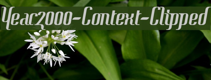 Year2000-Context-Clipped Font examples