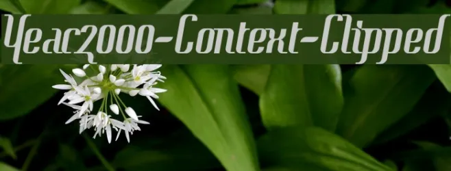 Year2000-Context-Clipped Example 3