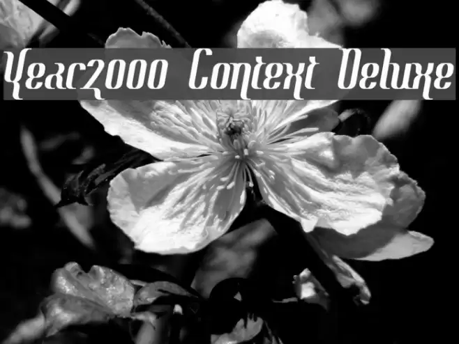 Year2000 Context Deluxe フォント examples