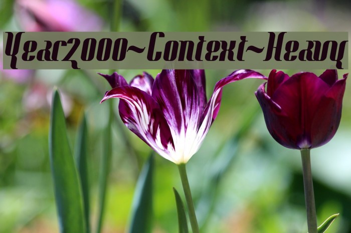 Year2000-Context-Heavy Caratteri examples