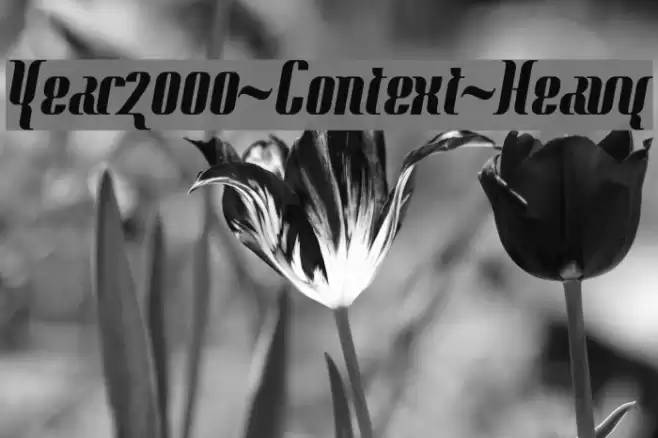 Year2000-Context-Heavy Caratteri examples