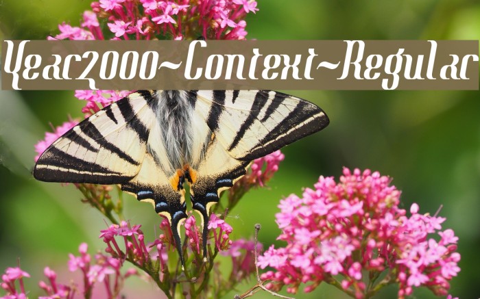 Year2000-Context-Regular Font examples
