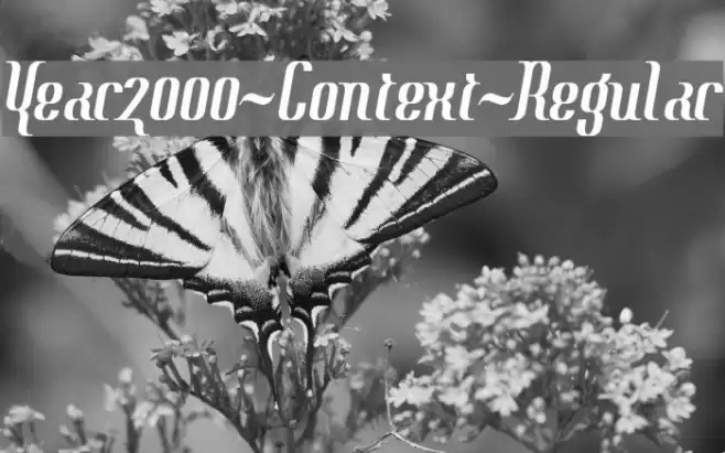 Year2000-Context-Regular フォント examples