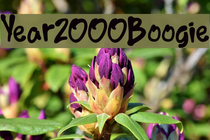 Year2000Boogie Font examples