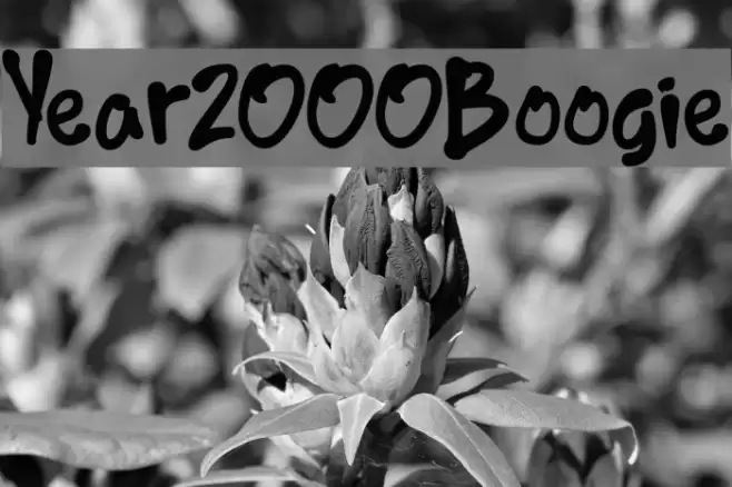 Year2000Boogie Fonte examples