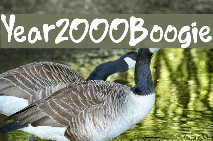 Year2000Boogie Font examples