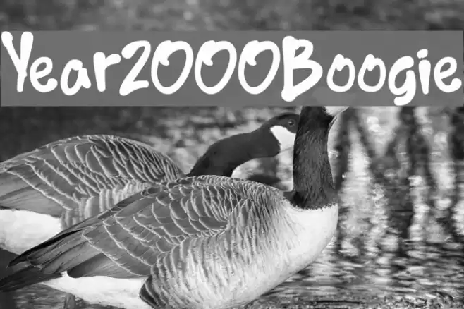 Year2000Boogie Fonte examples