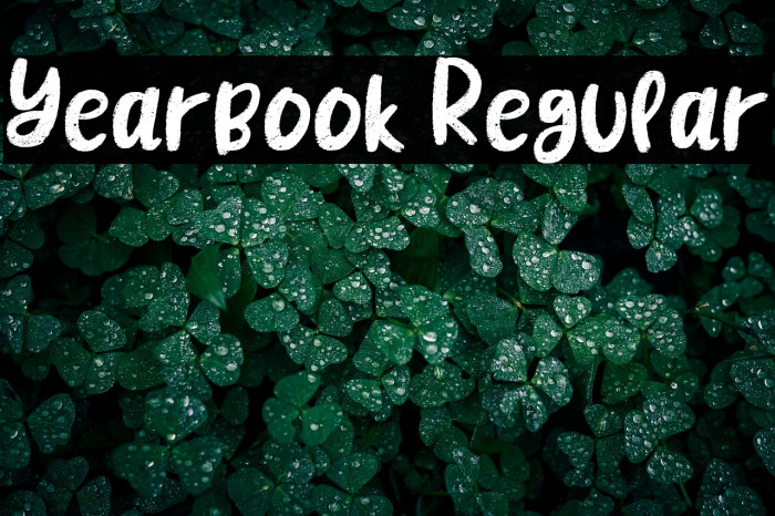 Yearbook Regular Example 2