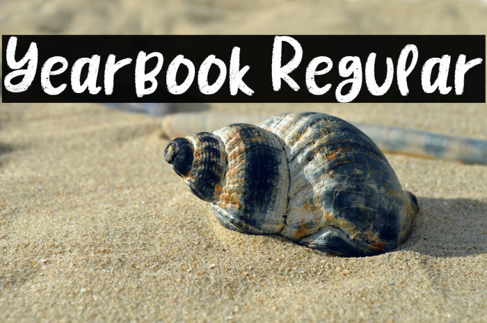 Yearbook Regular Example 3