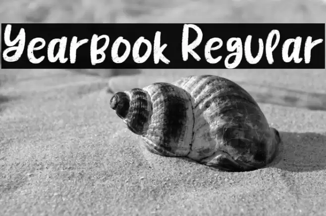 Yearbook Regular Font examples