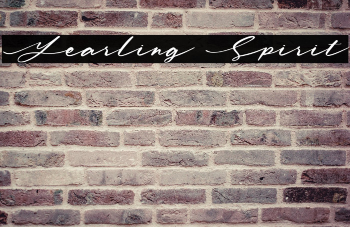 Yearling Spirit Example 2