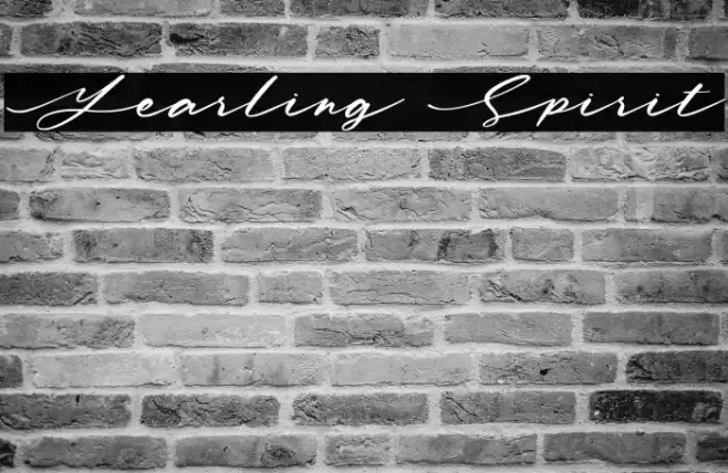 Yearling Spirit Polices examples