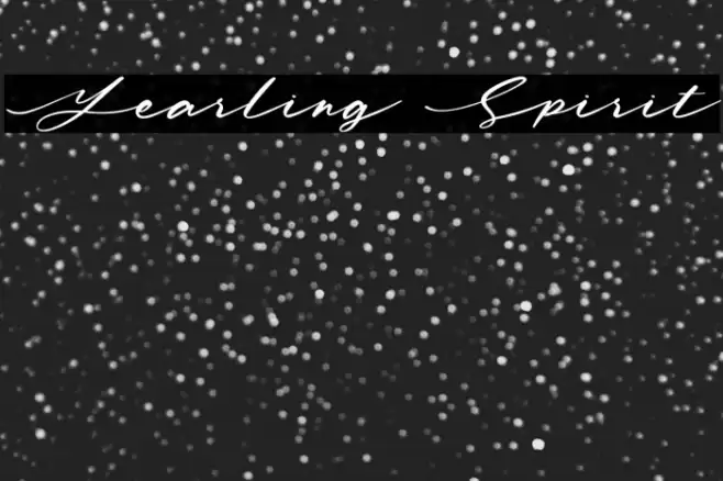 Yearling Spirit Polices examples