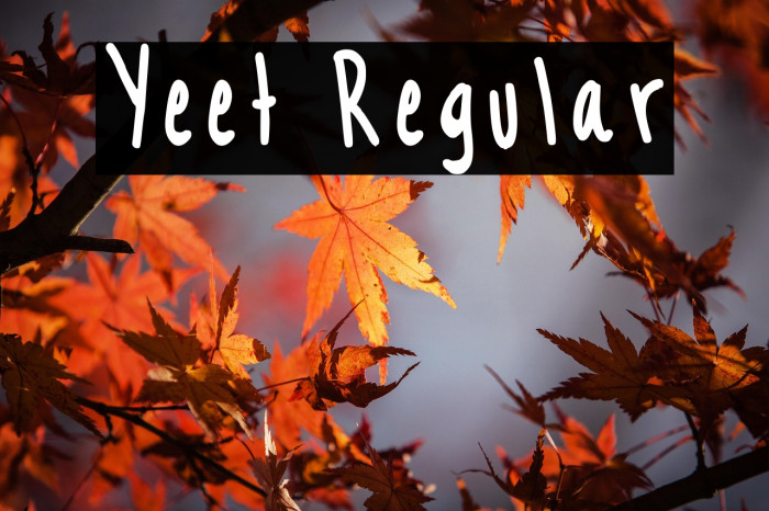 Yeet Regular Example 1